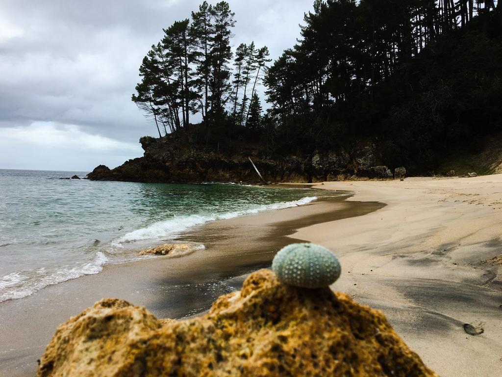 Whangamata Vistas B&B 외부 사진